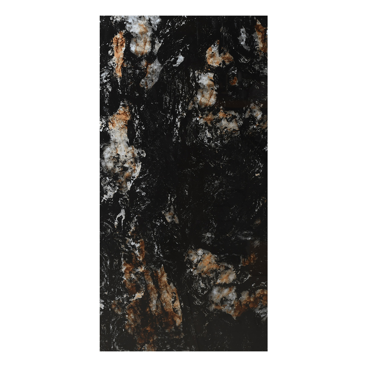 WS2023DEC024 (Black) main image 1